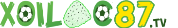 bó gối thể thao
